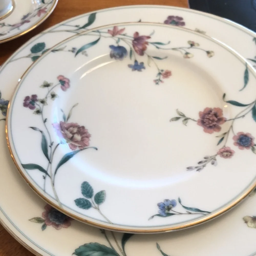 Mikasa Fine Ivory Carnation Garden Five (5) piece place setting